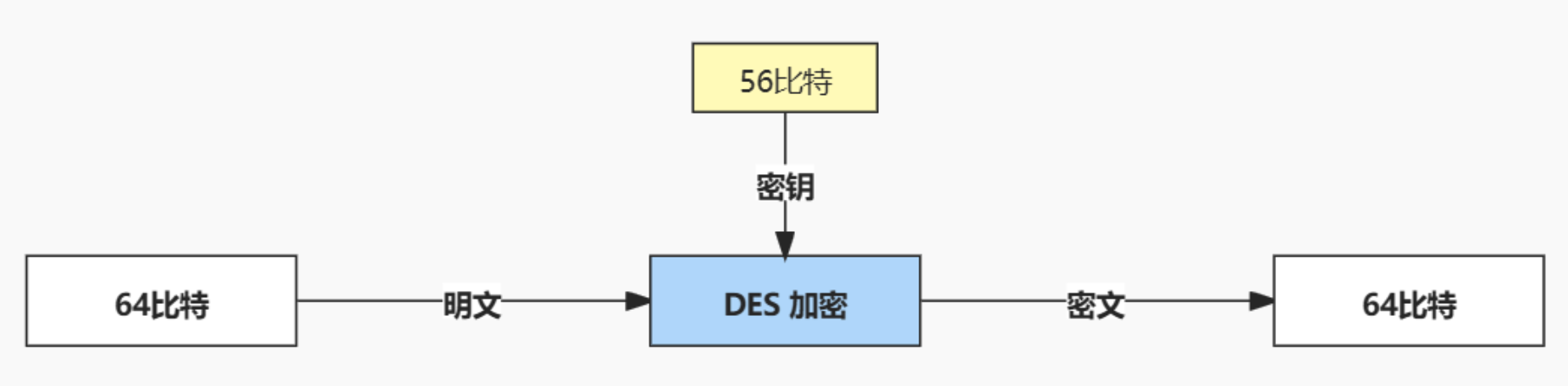 image-20240528091235796