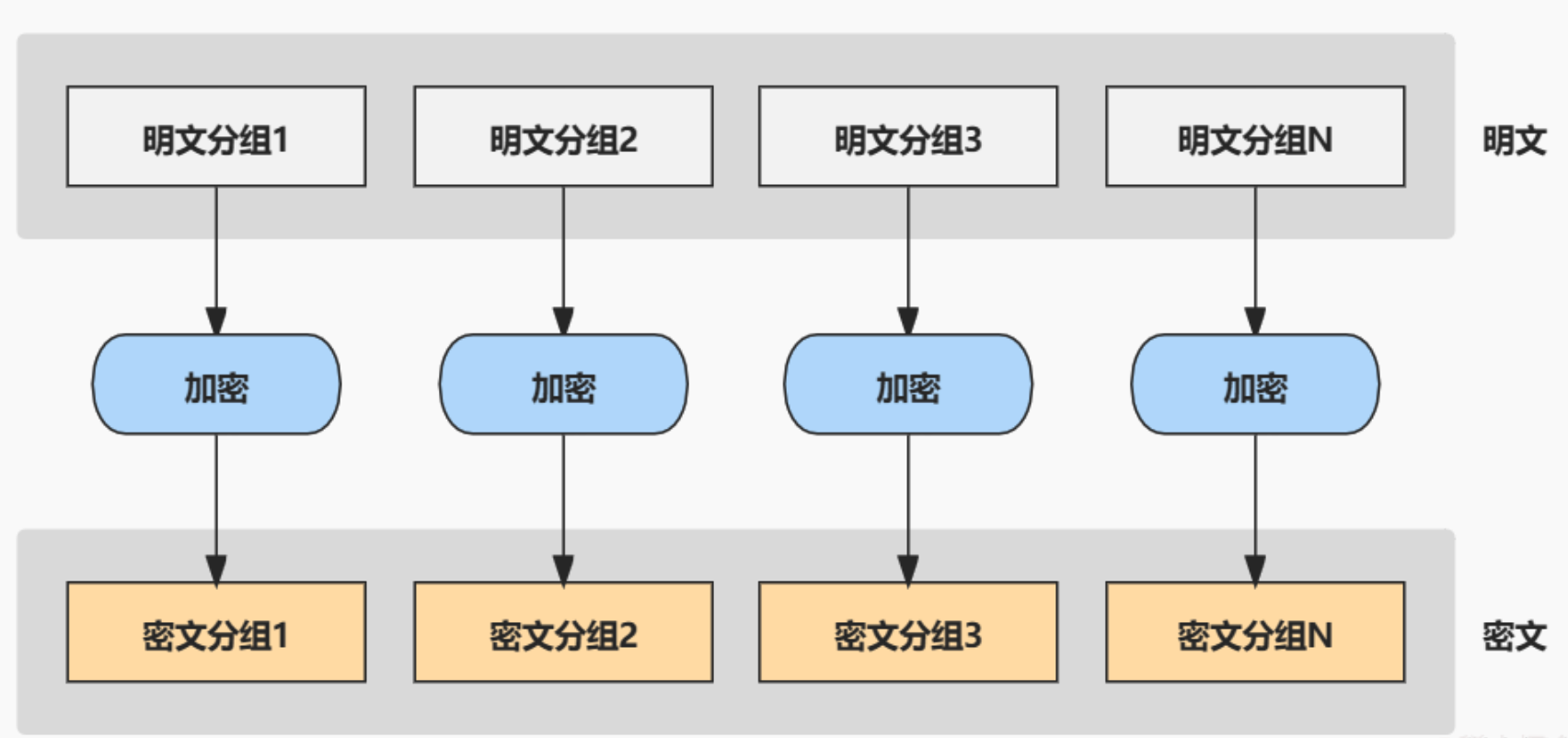 image-20240528100258028